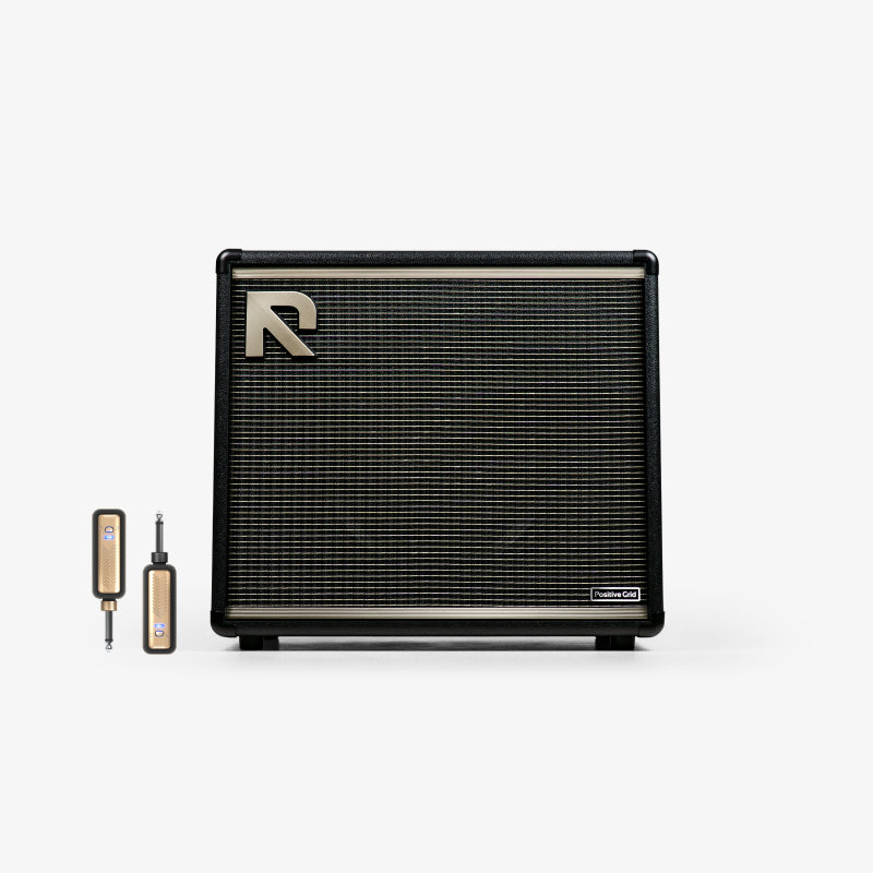 REACTOR + Spark LINK | Positive Grid