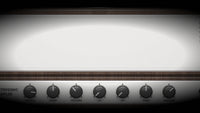 BIAS FX 2